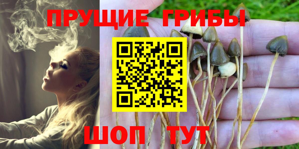 Псилоцибиновые грибы мухоморы Сочи